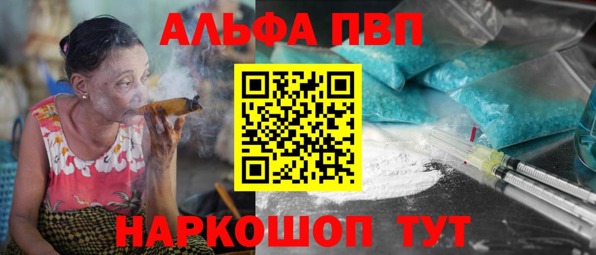 Альфа ПВП СК Выборг