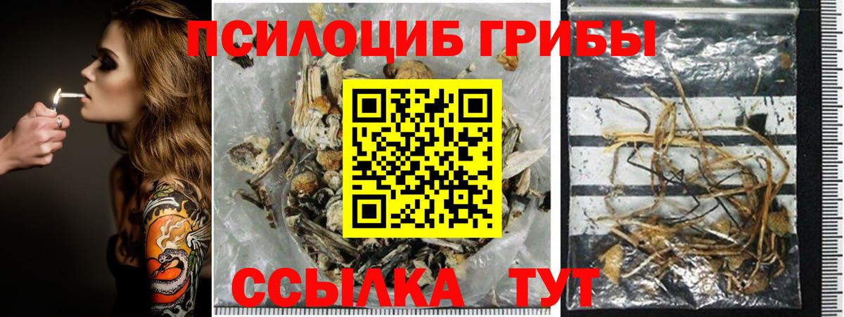 Галлюциногенные грибы Psilocybe  Вход с VPN  Псилоцибиновые грибы Psilocybine cubensis  Выборг 